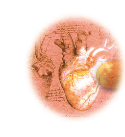 Ilustración: Riesgo cardiovascular